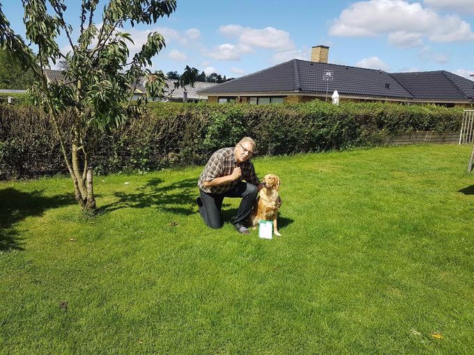 Then Nikki has been on a trialtest and obviously consisted of our little super dog