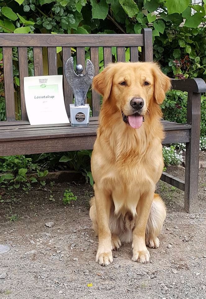 Then Milo from our 2015 litter has been on the WT i and became the first winner
Milo lives in Kemberg DE