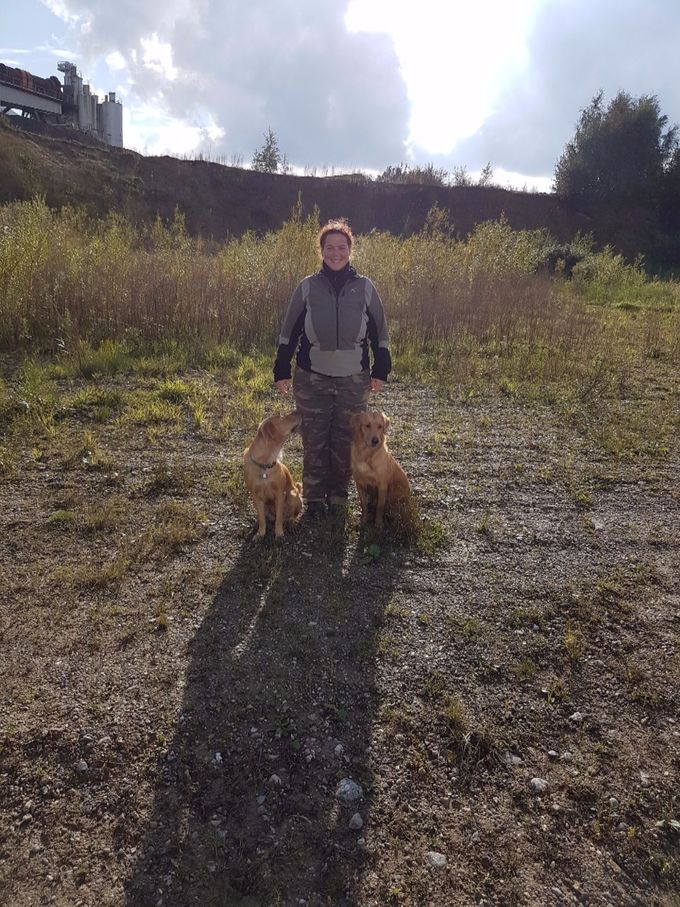 Ilaria and Lala together with Nikki on their visit with us in September, lovely to see both again Lala has become so beautiful and skilled in search Ilaria made a demo. it was a pleasure to see a FT goldens could do such a job very sure and thoroughly she has been well trained Ilaria has done a great job