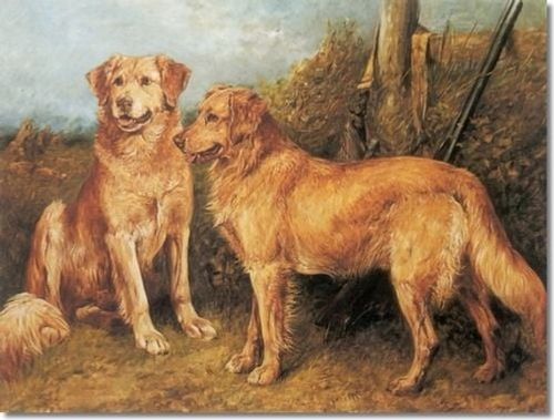 Golden Retrievers 1898 by John Emms 30 years after the first cross and foundation of the breed by Sir Dudley Marjoribanks.
se link https://en.wikipedia.org/wiki/Dudley_Marjoribanks,_1st_Baron_Tweedmouth