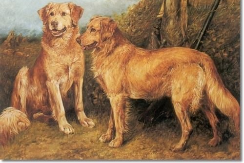 Golden Retrievers 1898 by John Emms 30 years after the first cross and foundation of the breed by Sir Dudley Marjoribanks.
se link https://en.wikipedia.org/wiki/Dudley_Marjoribanks,_1st_Baron_Tweedmouth